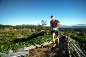 BIB: 4002
                            <button type="button" onclick="openModal(19111792)" class="btn btn-primary btn-sm float-right btn-popup" data-toggle="modal" data-target=".modal-high-quality">
                        <i class="fas fa-shopping-cart"></i> Add to Cart
                    </button>
                                            <button type="button" onclick="isThisMe(19111792, true)" class="btn btn-success btn-sm float-right btn-popup btn-isme hidden" data-toggle="tooltip" data-placement="bottom" title="นี่คือรูปของคุณใช่ไหม คลิกที่นี่เพื่อเอาเข้าอัลบั้ม">
                        <i class="fas fa-plus"></i> Add to album
                    </button>
                    <button type="button" onclick="isThisMe(19111792, false)" class="btn btn-warning btn-sm float-right btn-popup btn-isnotme hidden">
                        <i class="fas fa-ban"></i> Remove from album
                    </button>